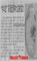 “中华龙”彩瓷盘贺神九载人飞船发射成功