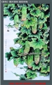 巢秀华-《景色》杂志2013年第七期刊载资料