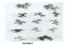树叶的多种画法