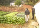 ‘种菜能手’-彭竞强大师
