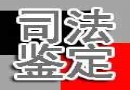 作品要传世、跨时代交易·我们如何保存作品和相关证据