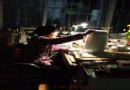 舒惠娟大师绘画15图剪影