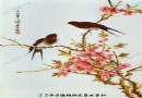 毕伯涛 双鸟鸣春·粉彩瓷板画 鉴定图录