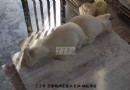 刘远长大师鼠年最后一个牛生肖的谍照。