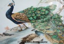 “吕蒙杯”景德镇市美术书法摄影陶艺展陶艺精选版