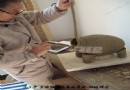 周国桢盘条作品实时剪影
