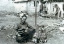 道器合一，施于人生（上）