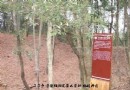 绕不过去的高岭