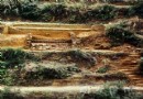 克拉克瓷盘边饰类型与分类