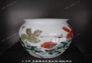 陈齐招-古彩花卉