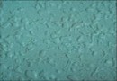 纳米“防尘罩”水土不侵