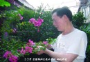 建国瓷厂老艺人的回忆