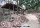 高岭土矿床的开采与加工