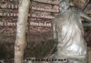 祁门不子（祁门瓷土）