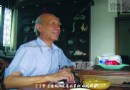 探寻虎年生肖瓷背后的意义