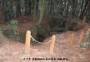 余干不子（余干瓷土）