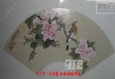 方华明老师的花鸟画作品