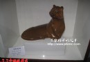 我给刘远长99号虎年生肖取名字“虎卧乾坤”