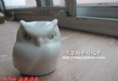 估计是周国桢教授最早的猫头鹰