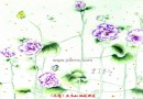 涂文静的花花世界