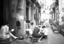 苏家畈的“双宝”