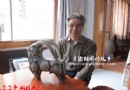 周国桢老师和他的大角羊