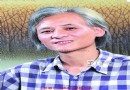 不可复制的经典—记刘志为的高温色釉艺术