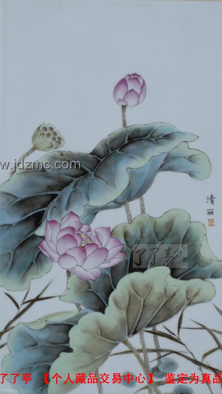 王清丽 粉彩《荷花》作品的大小：55cm*37cm