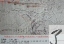 沈盛生 价格：10000－12000 拍卖公司：江西银海 拍卖时间：2006年6月18日