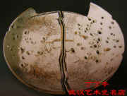 daiyuxiang0722d.jpg (41095 ֽ)